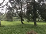Gallery Villa Eton Fa-1 Kota Bunga