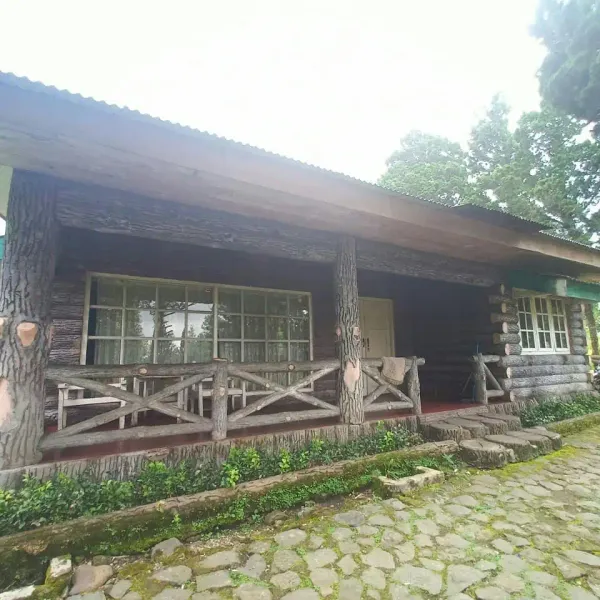 Galeri Full