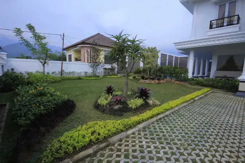 Galeri Full