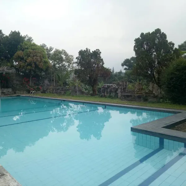 Galeri Full