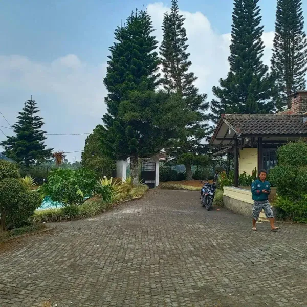 Galeri Full