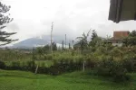Gallery Villa Unik Cipanas