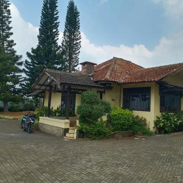 Galeri Full